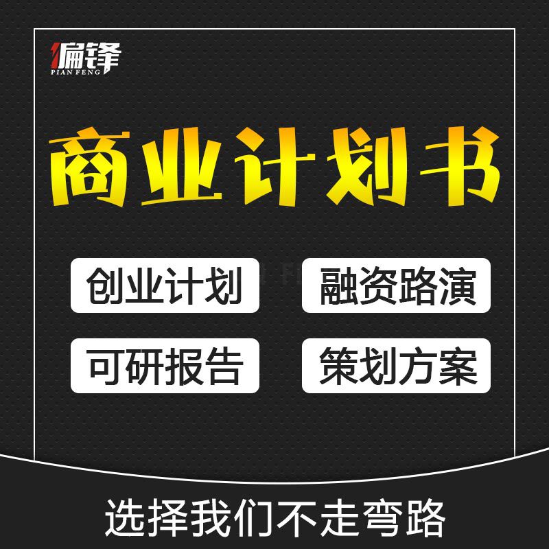 商业计划书撰写代做可行性研究报告项目立项创业融资方案策划PPT(图2)