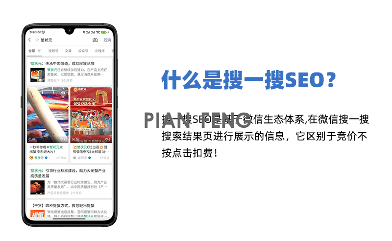 微信搜一搜SEO竞价开户，微信搜索霸屏，信息发布优化(图2)