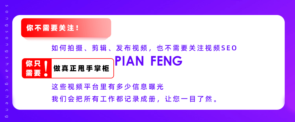 视频小霸屏SEO优化：助力各大短视频平台产品曝光(图3)